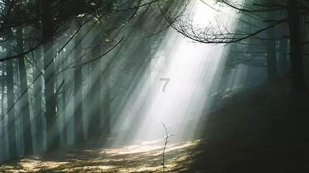 《幻兽帕鲁》不开加速能不能玩说明