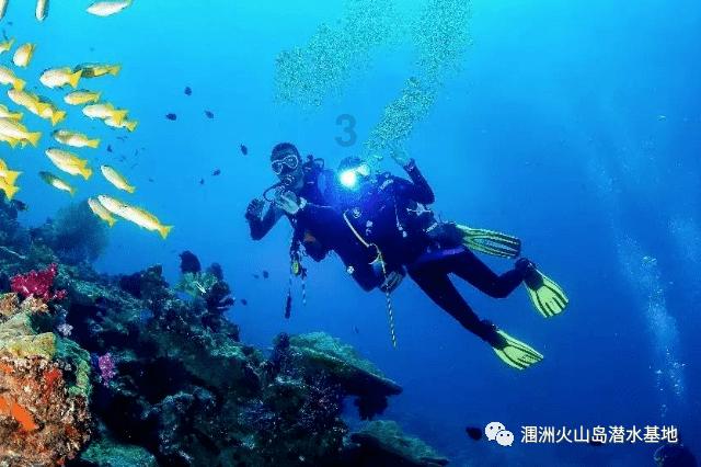弹球大战俄罗斯方块