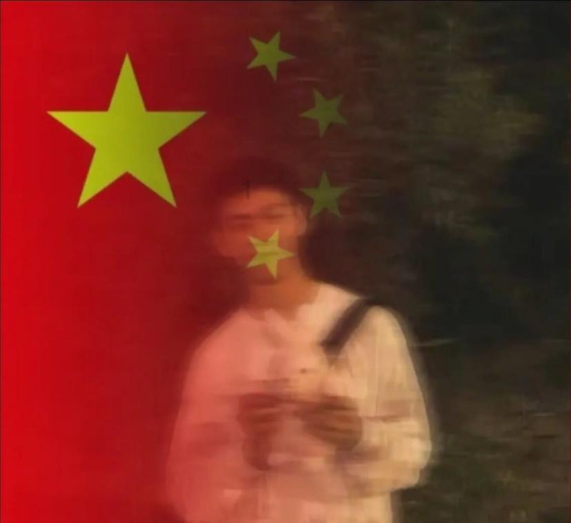 阿拉斯加被压车下一动不动,主人惊出一身冷汗,原来它在思考狗生