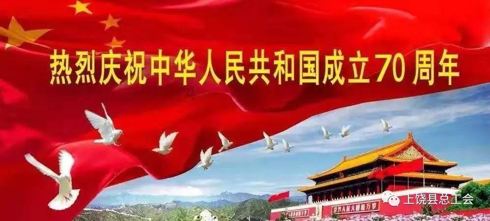 可爱小猫向上跳